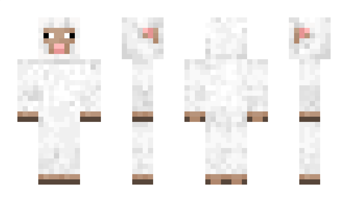 LightWave8648 Minecraft Skin