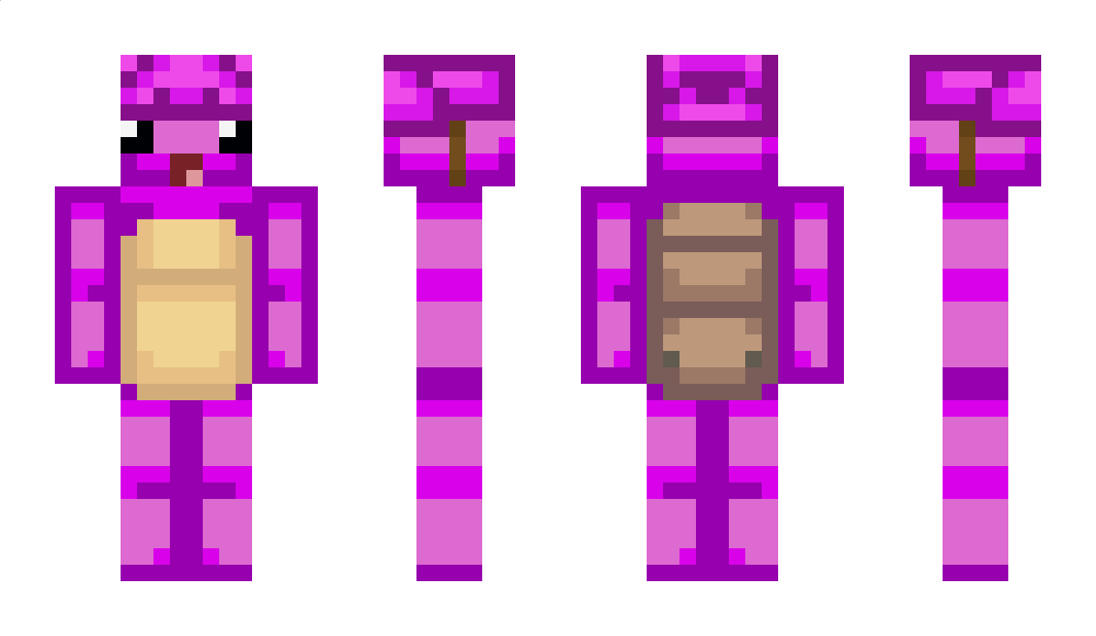 XTheTurtleGuyX Minecraft Skin