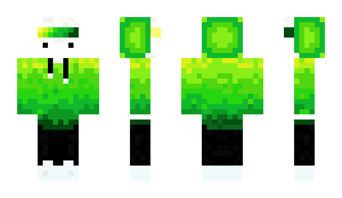 ProofHippo9 Minecraft Skin