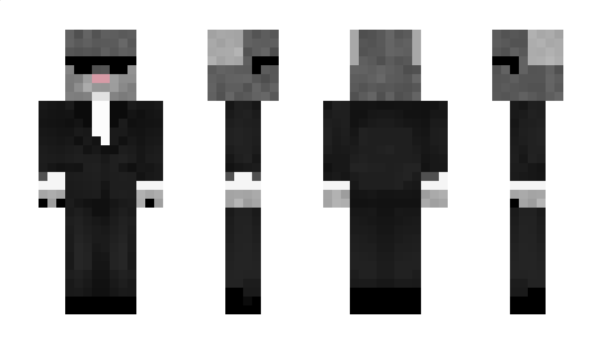 t1he Minecraft Skin