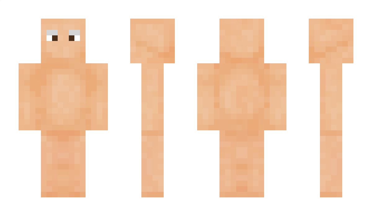 dbs Minecraft Skin