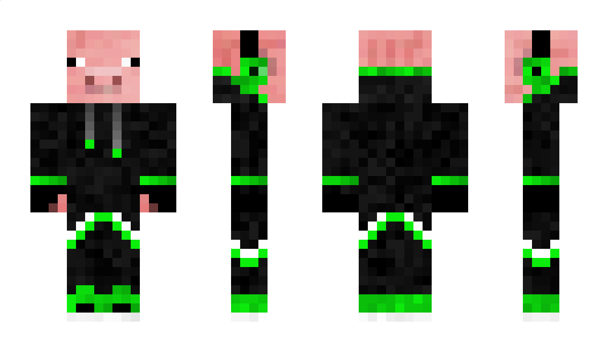 Diggpig Minecraft Skin