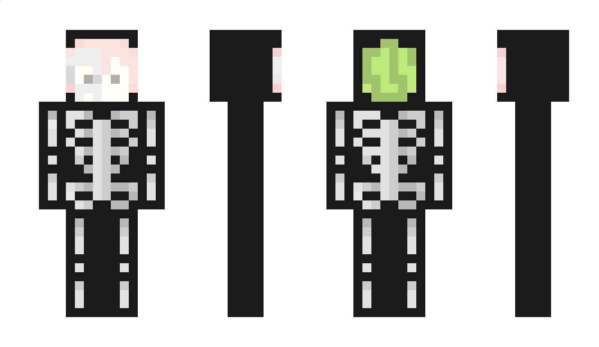 SU_1 Minecraft Skin