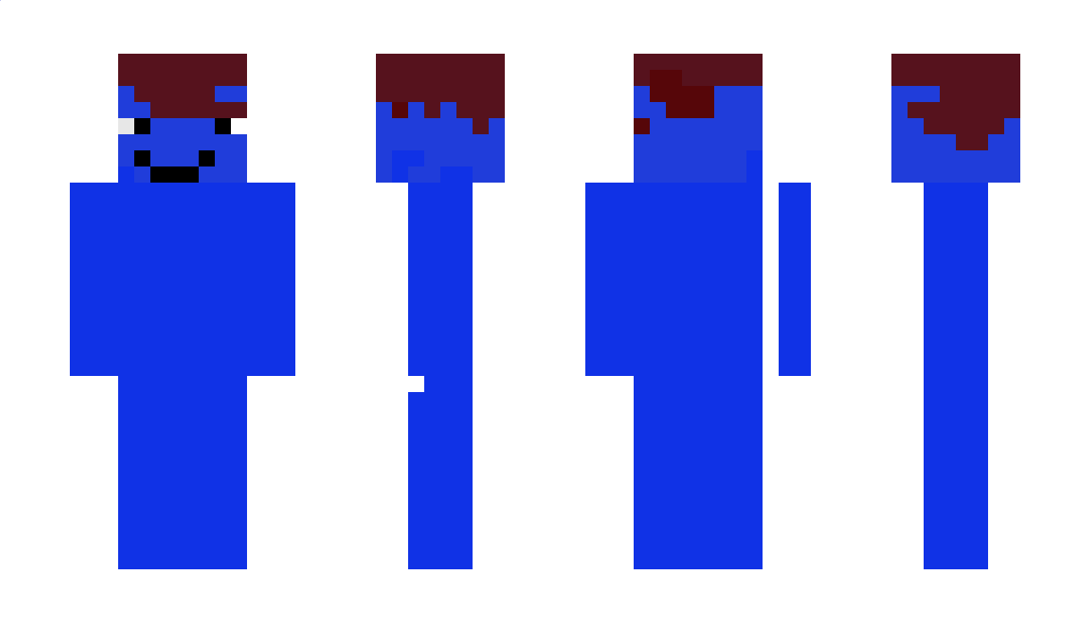 wduwkinpr Minecraft Skin