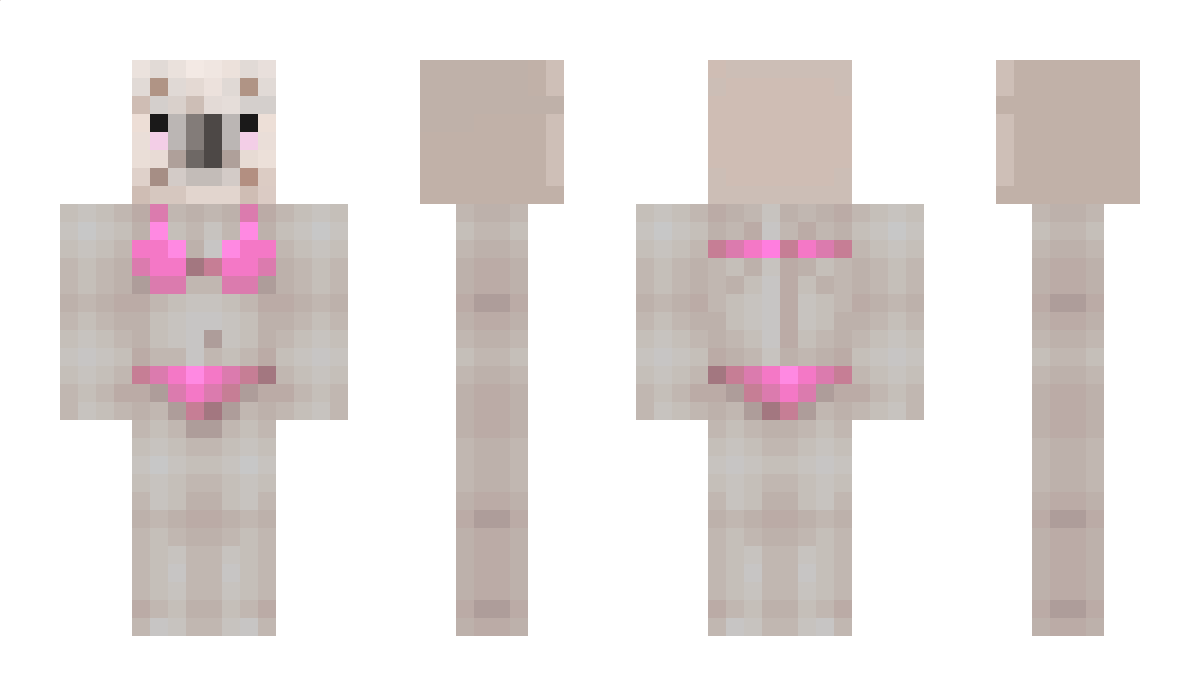 Noalla Minecraft Skin