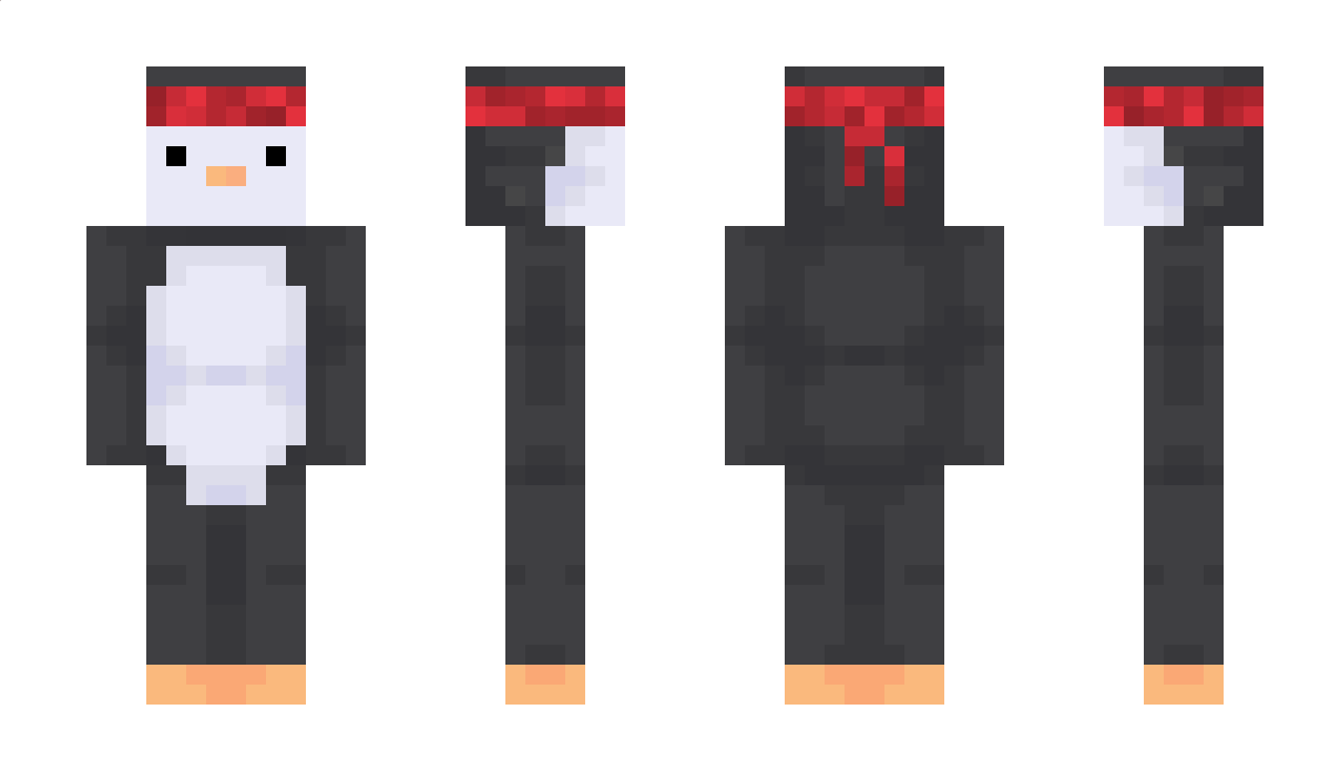 penguingamer01 Minecraft Skin