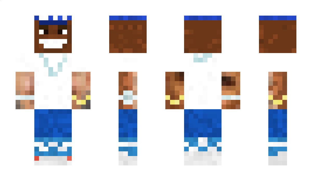 POCIPP Minecraft Skin