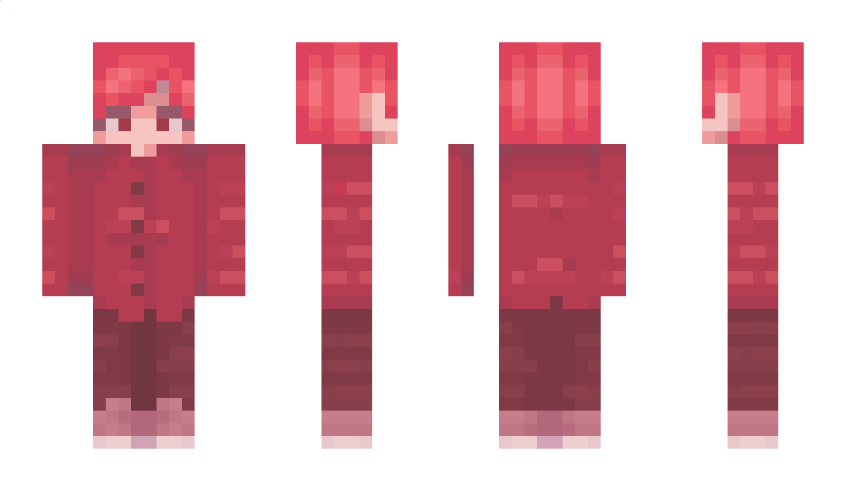 JDSurio22 Minecraft Skin