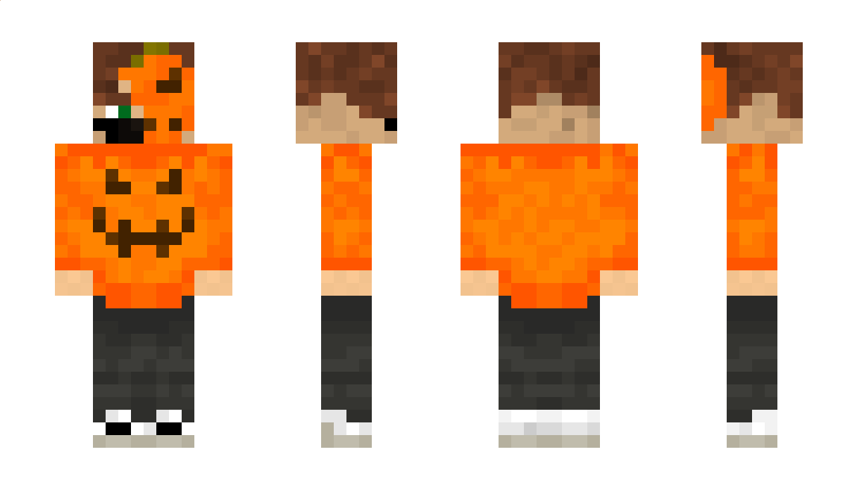 Soundtampo Minecraft Skin