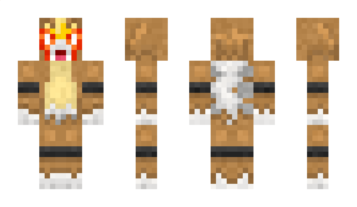 BACKR00MS Minecraft Skin