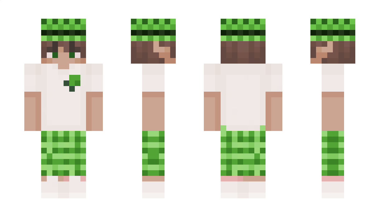 NinjaWitek76 Minecraft Skin