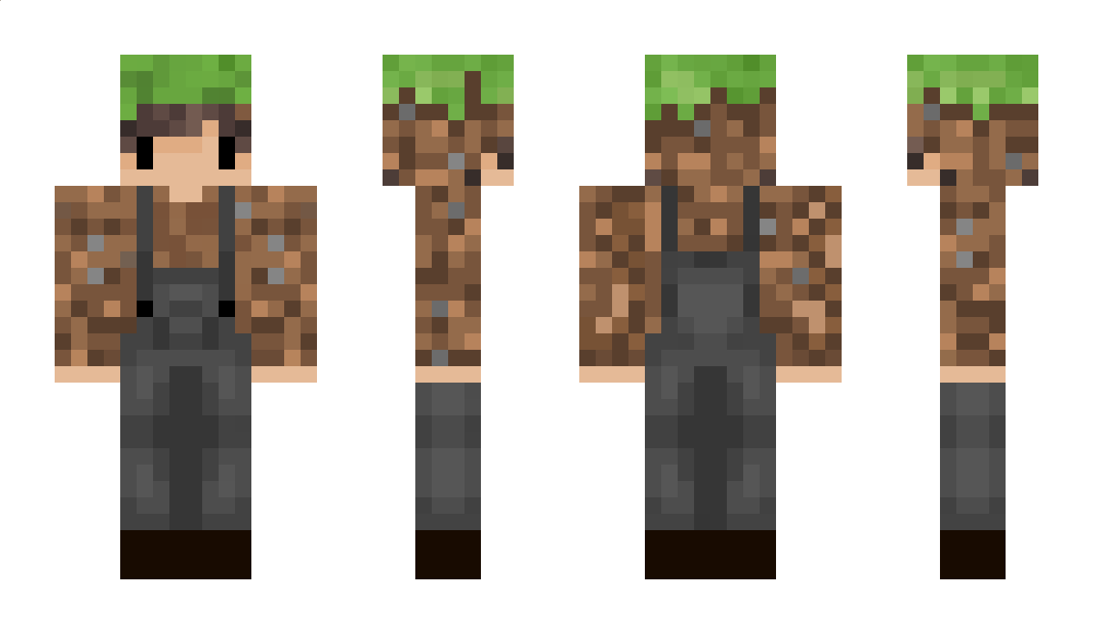 Dirts Minecraft Skin