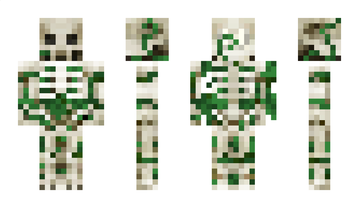 NoxarXII Minecraft Skin