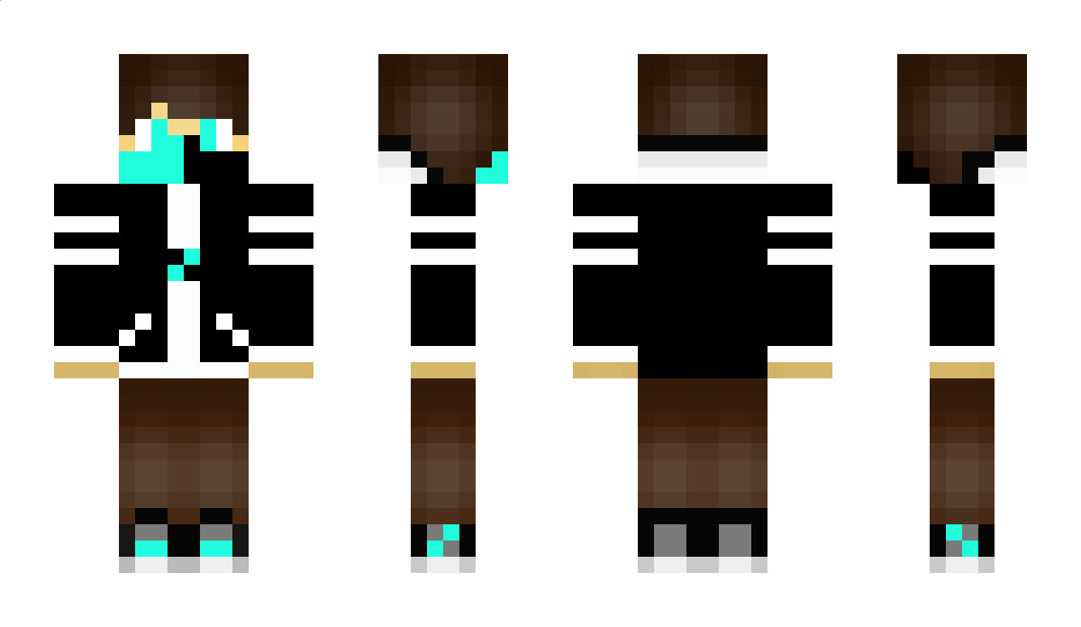 Olkshadow Minecraft Skin