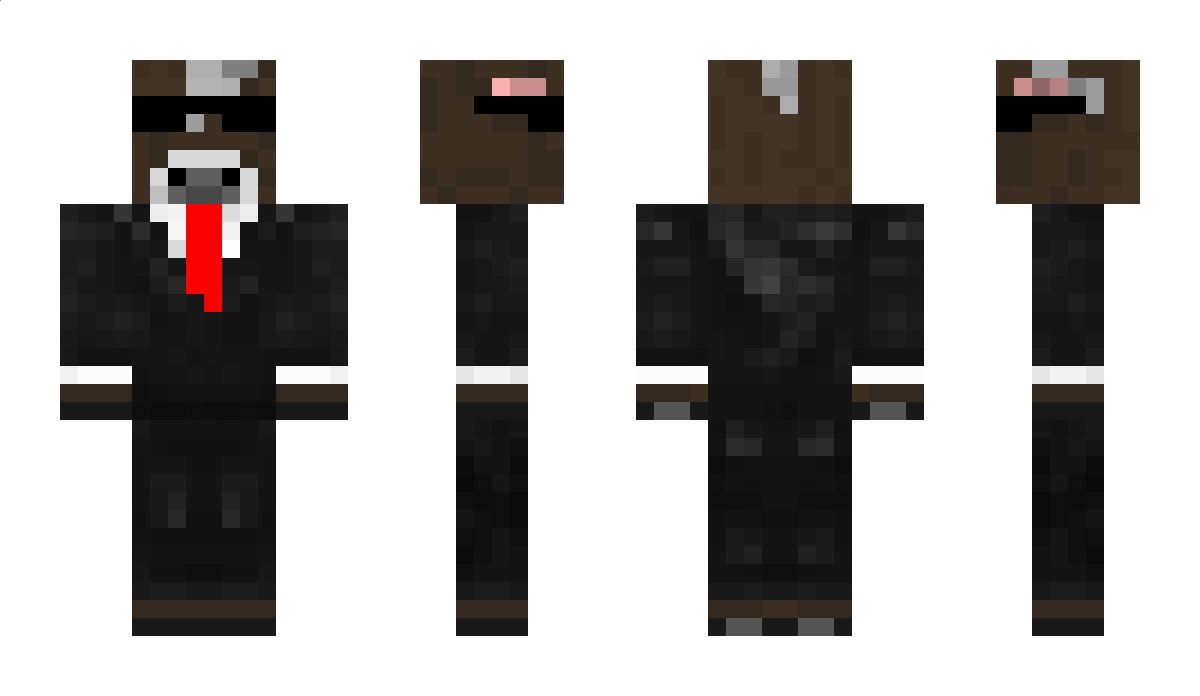 Sananekrdsim Minecraft Skin