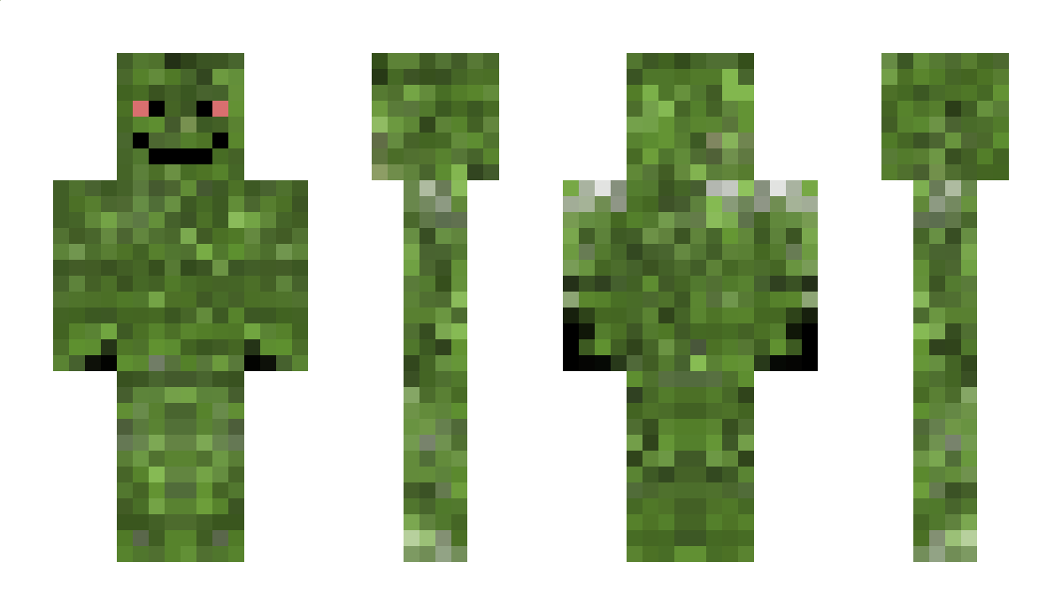 kushhobbit Minecraft Skin