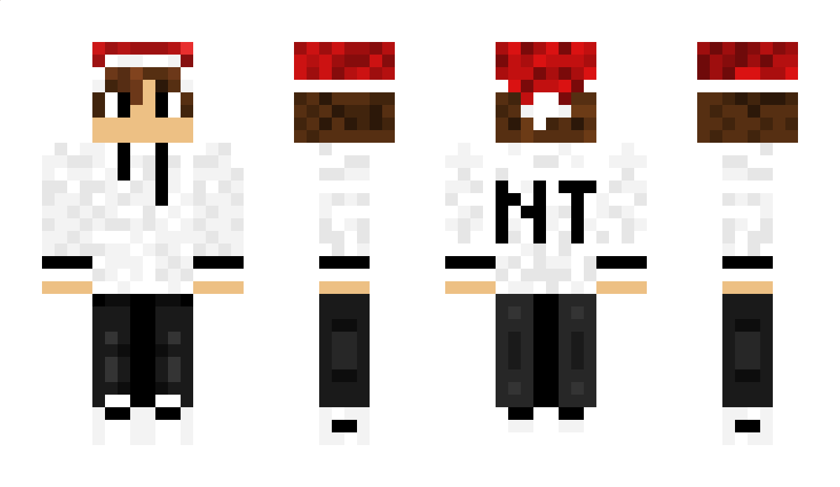 Gamer_N_ Minecraft Skin