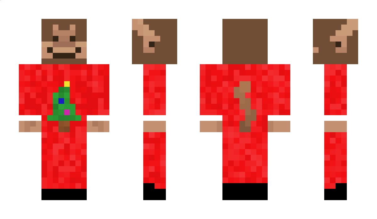 WittyMirror4440 Minecraft Skin