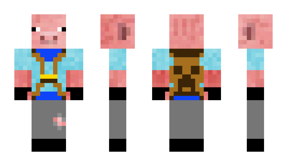 Mr_MewSki Minecraft Skin