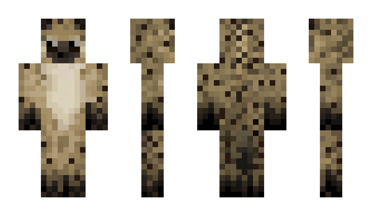 1078 Minecraft Skin