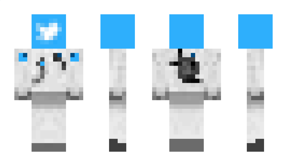 MHF_Twitter Minecraft Skin