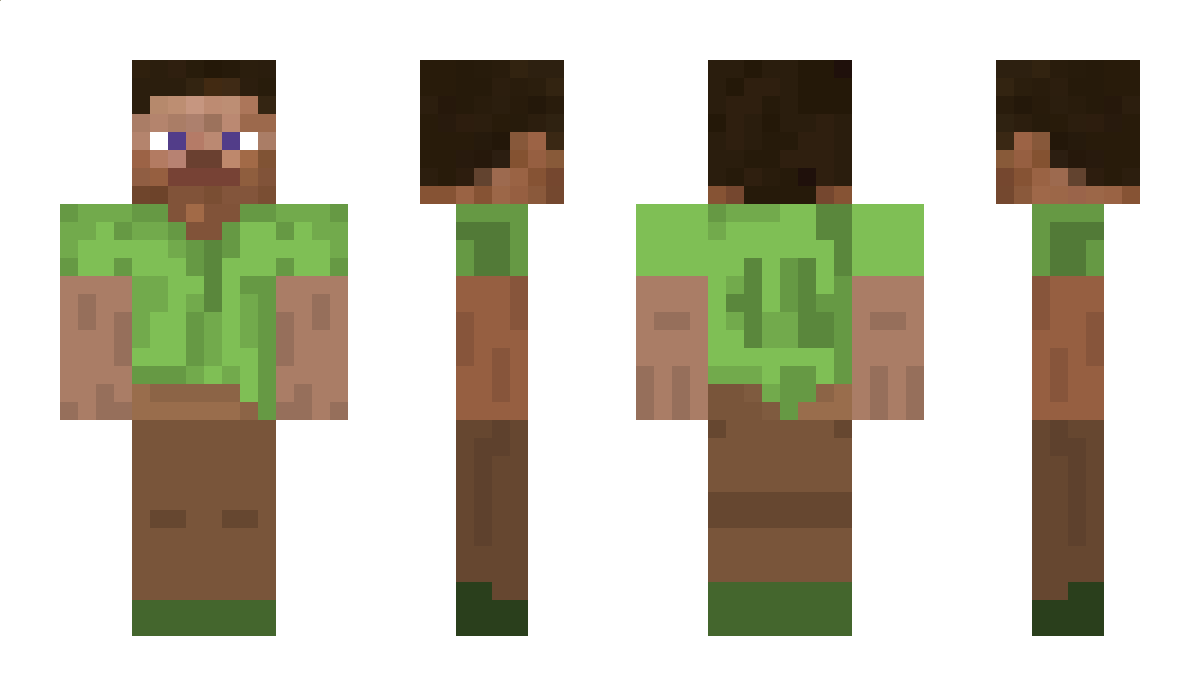 Vidu Minecraft Skin