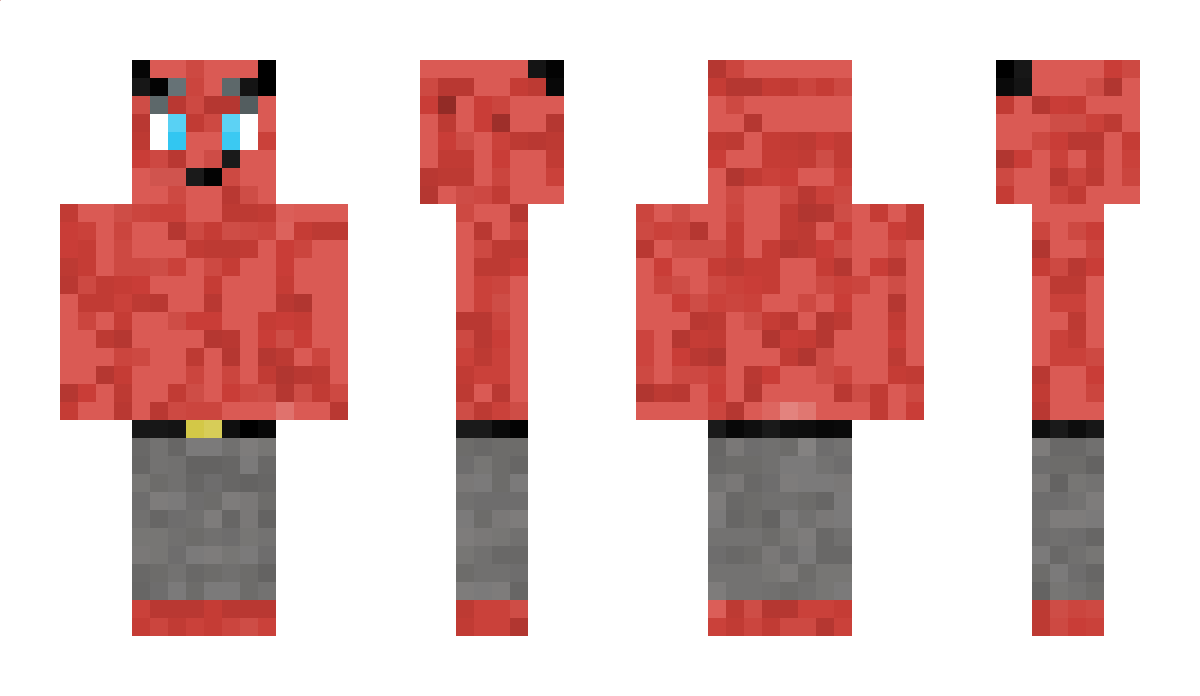 Zelfro_ Minecraft Skin