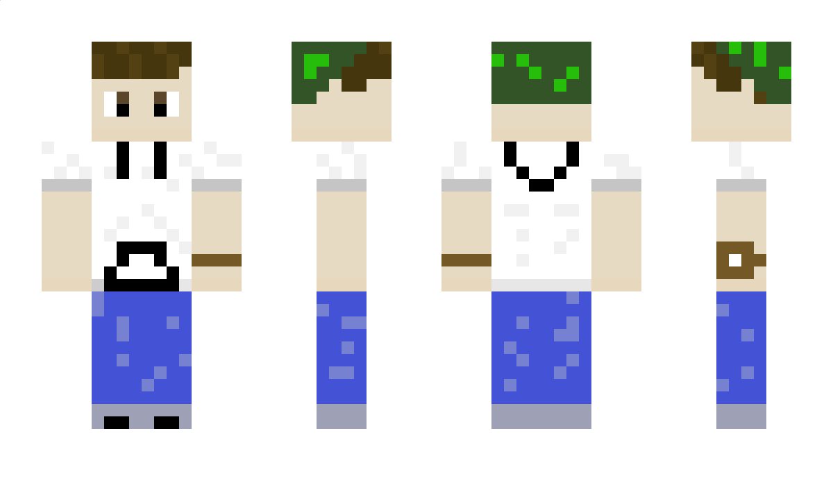 TurtleRich Minecraft Skin