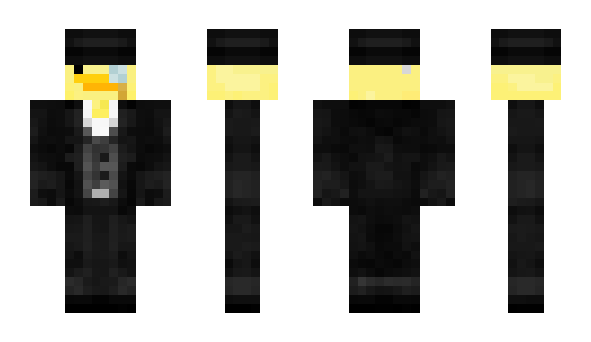 Trimsky Minecraft Skin