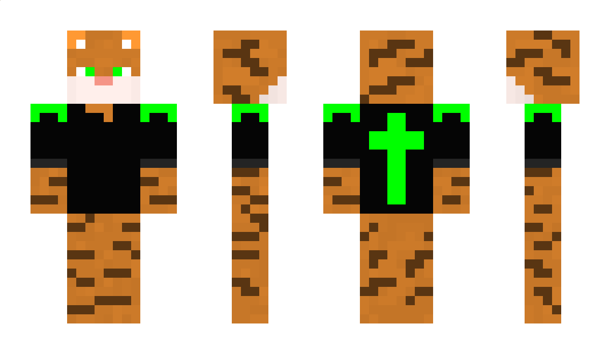 The_Katze_ Minecraft Skin