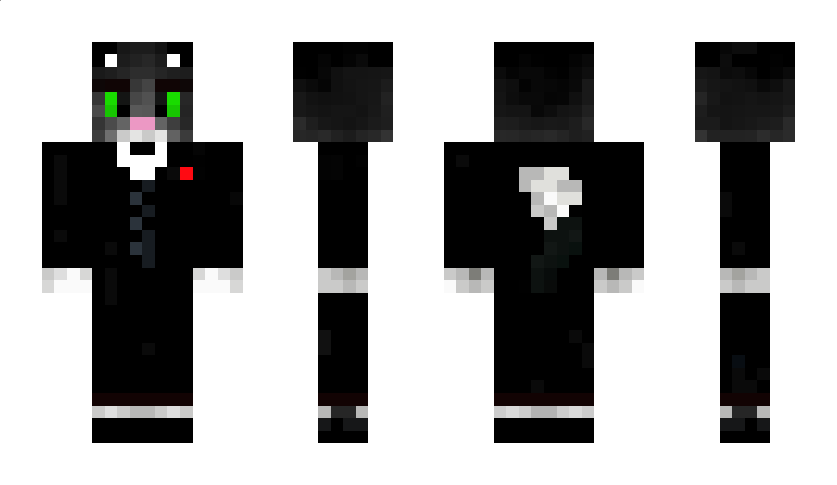 Misaan_ Minecraft Skin