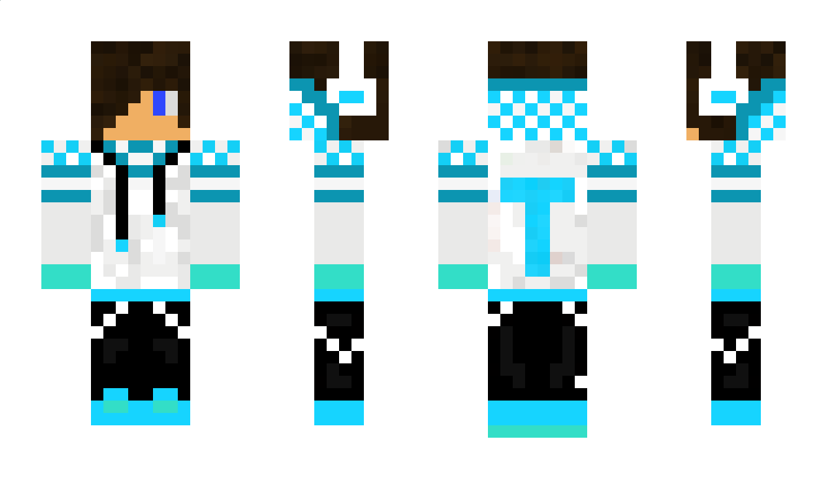 porche911 Minecraft Skin