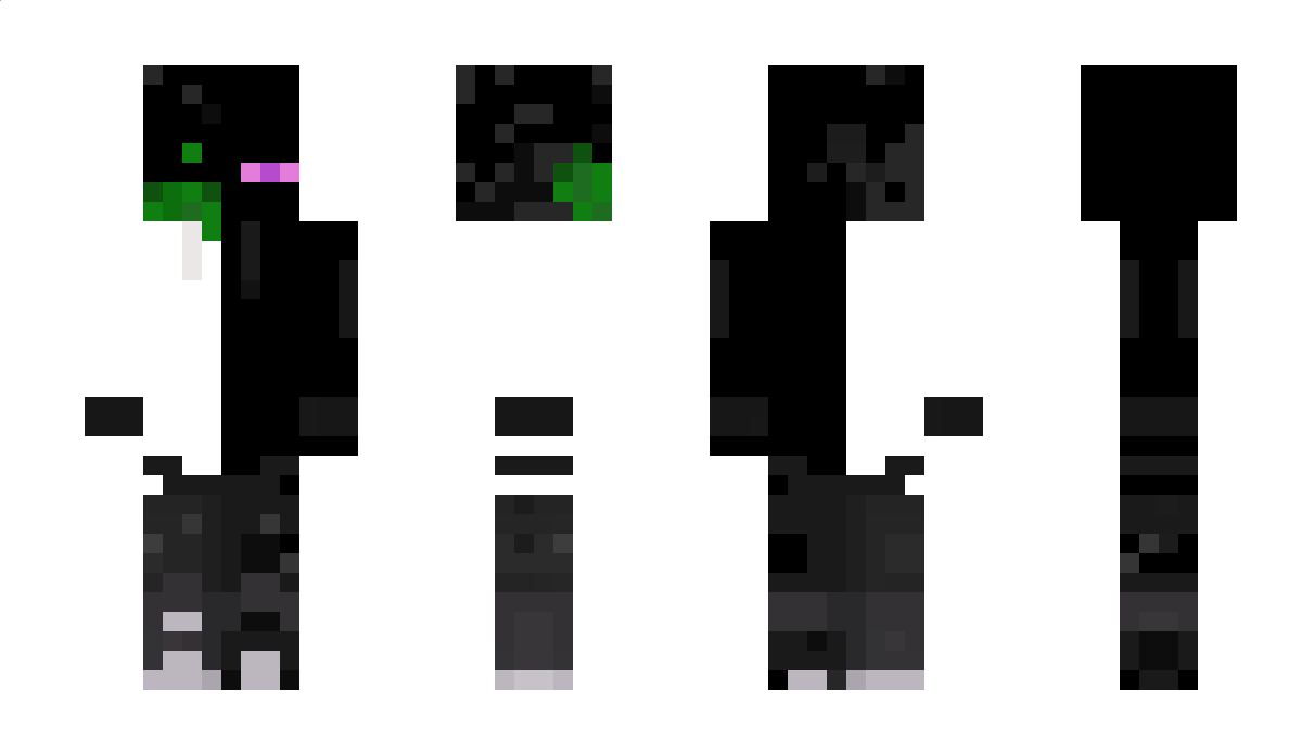 Nylo430x Minecraft Skin