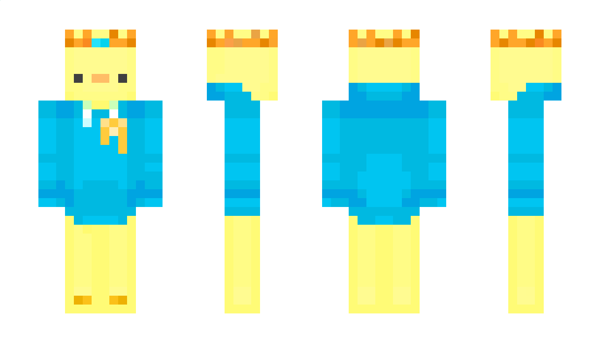 HoodieDuck_ Minecraft Skin