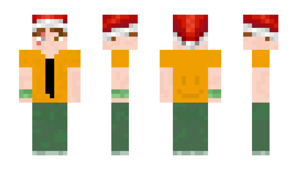 _MrSamu_ Minecraft Skin