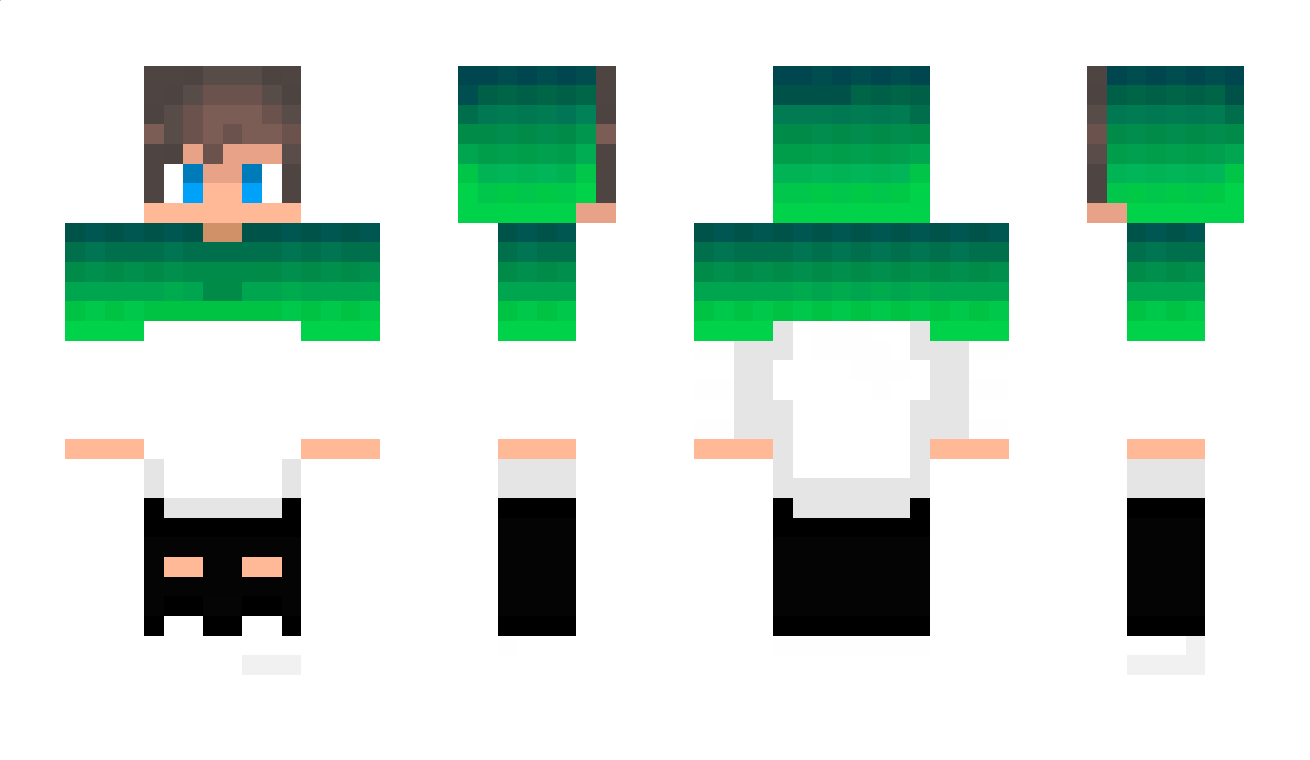 Dominiz Minecraft Skin