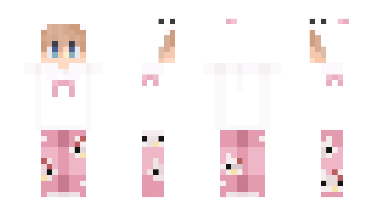 acl5388 Minecraft Skin