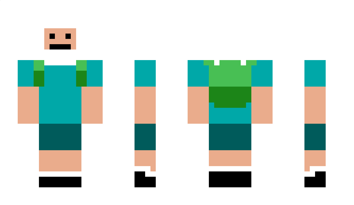 DuckNinja1 Minecraft Skin