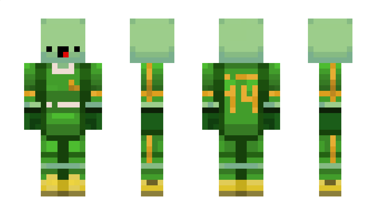 TurtleOnMC Minecraft Skin