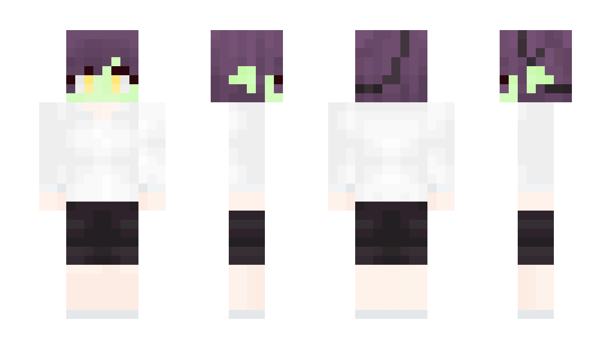 Imbecilic_Goose Minecraft Skin