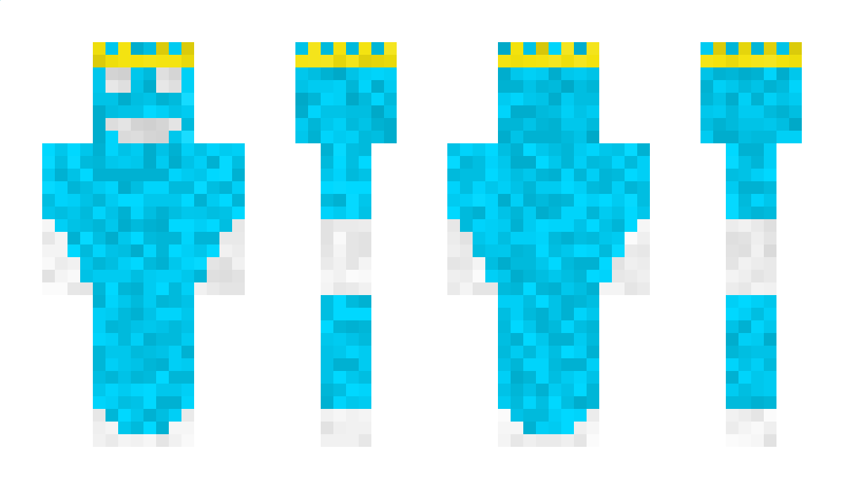 PL_acek Minecraft Skin