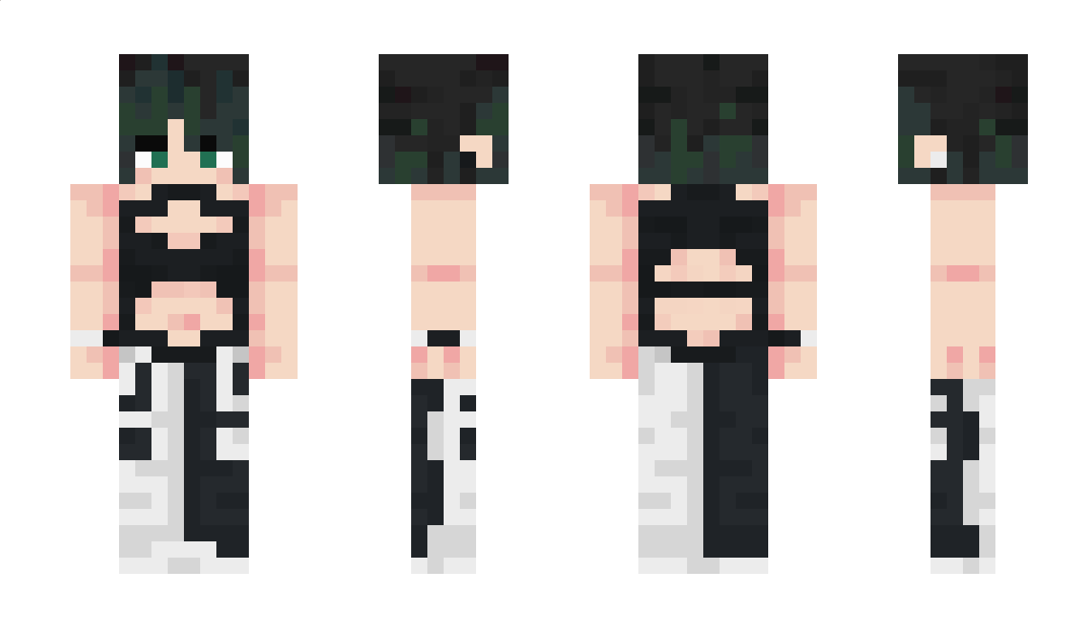 Payeerr Minecraft Skin