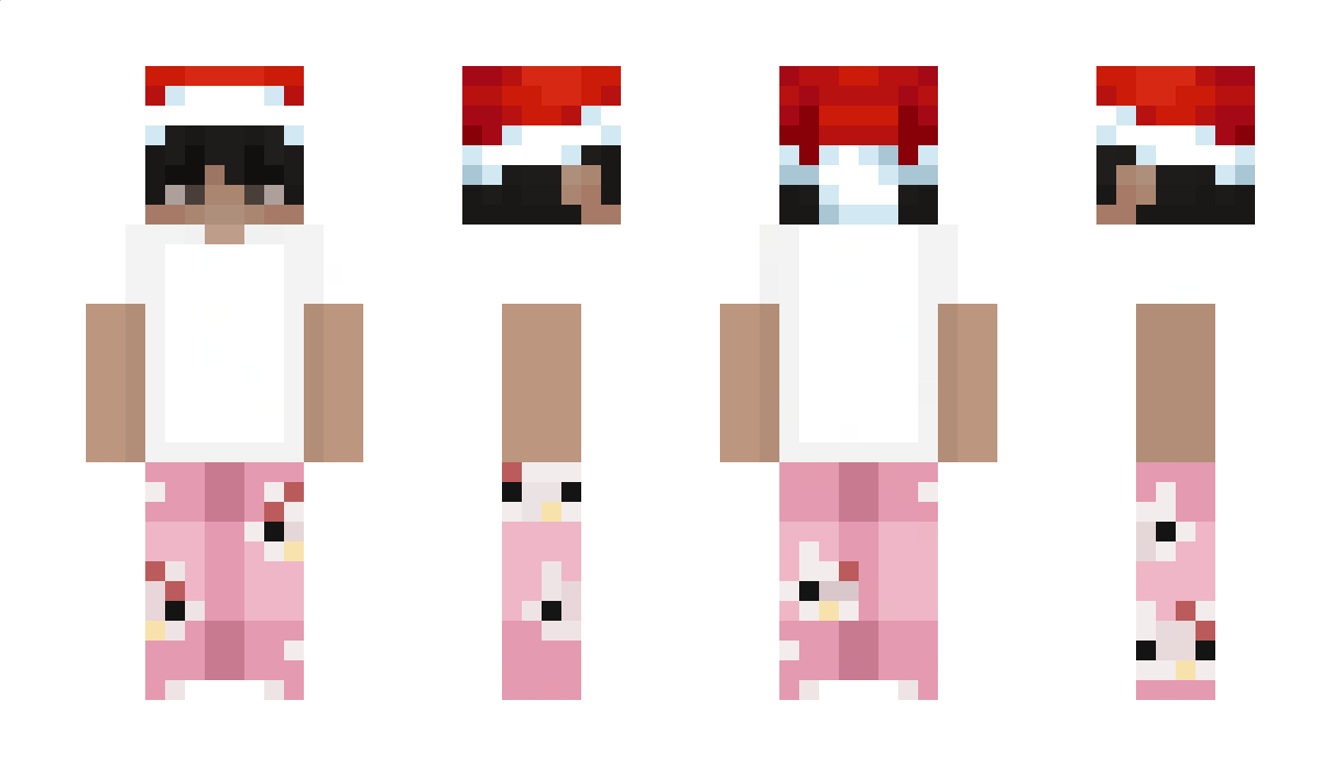 DroppedbyPeryl Minecraft Skin