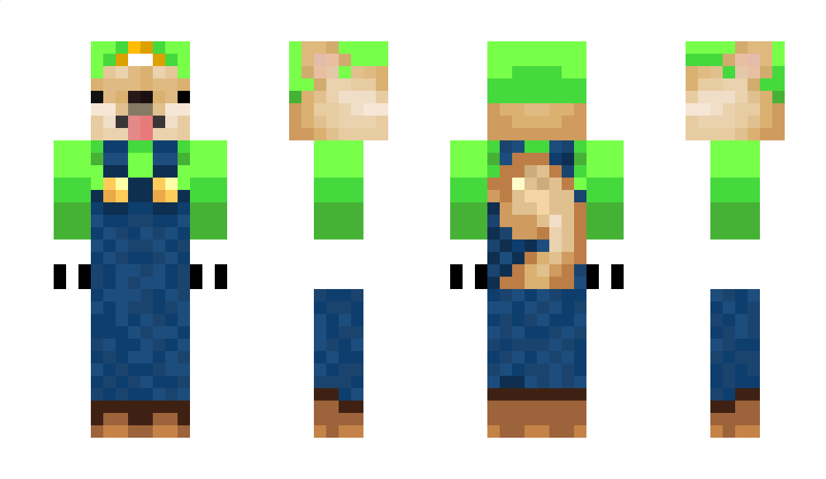 TangledWill09 Minecraft Skin