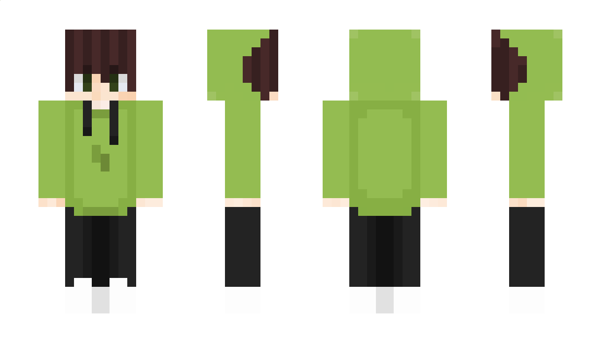 245d Minecraft Skin