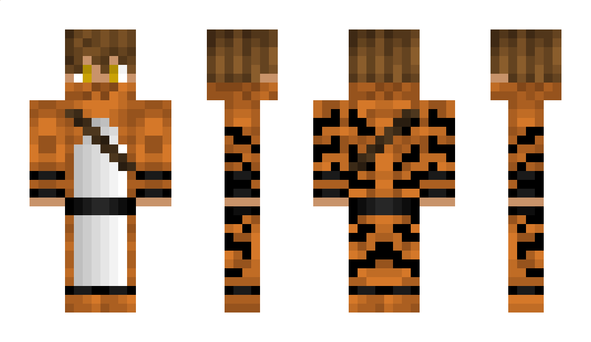 TigoMC Minecraft Skin