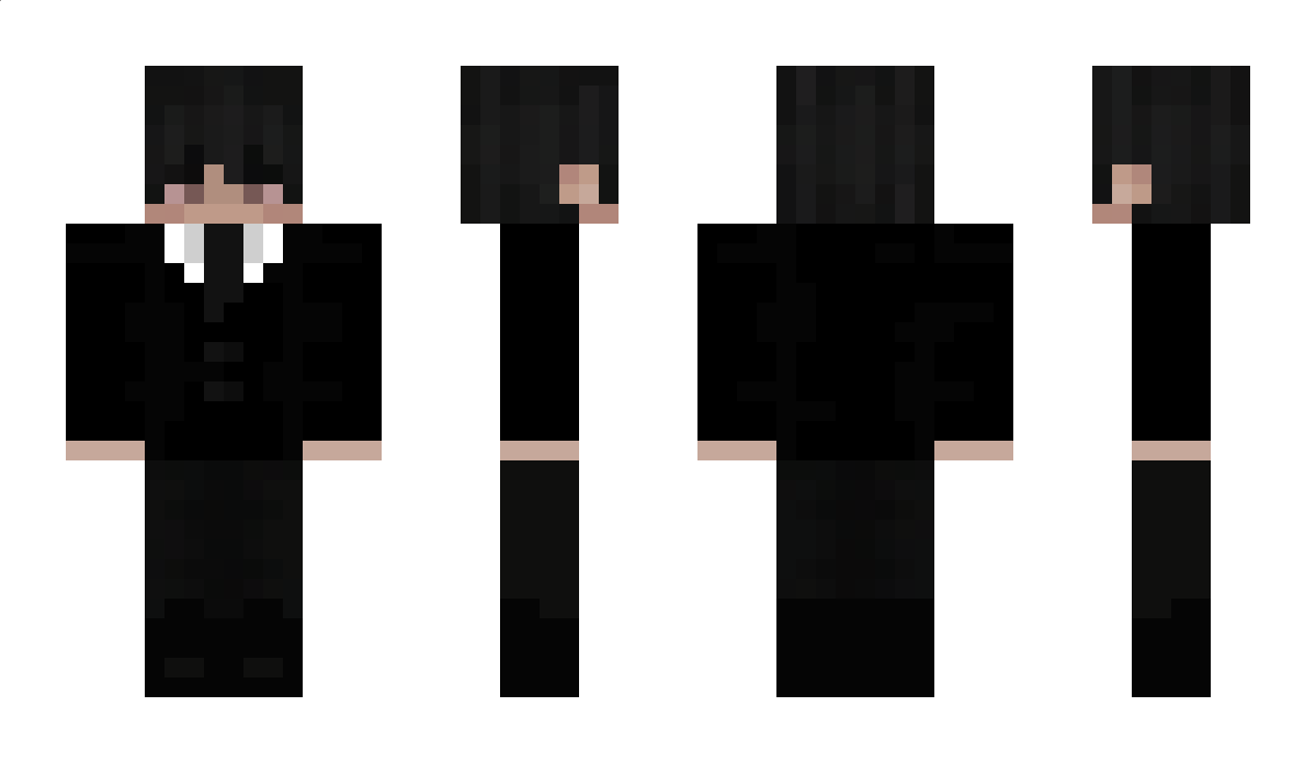 mmd_aras Minecraft Skin