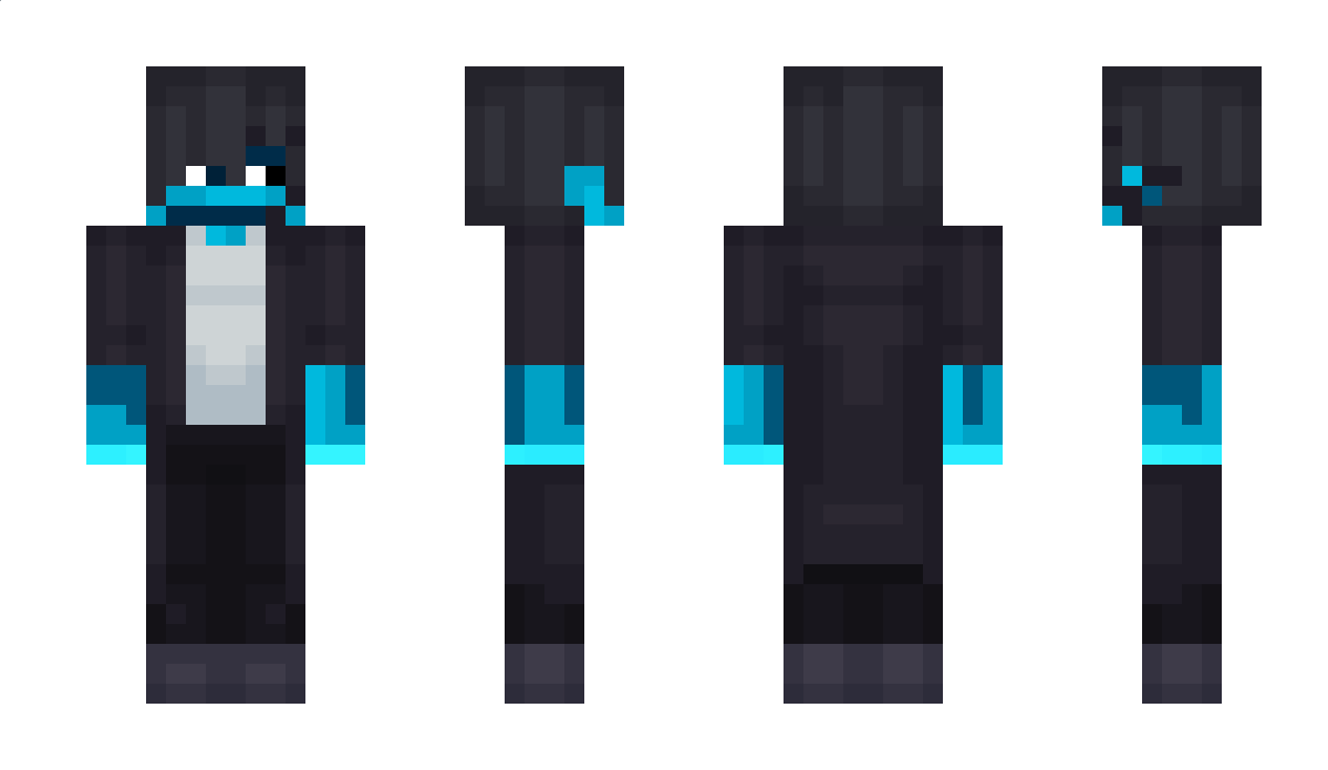 Flasee Minecraft Skin