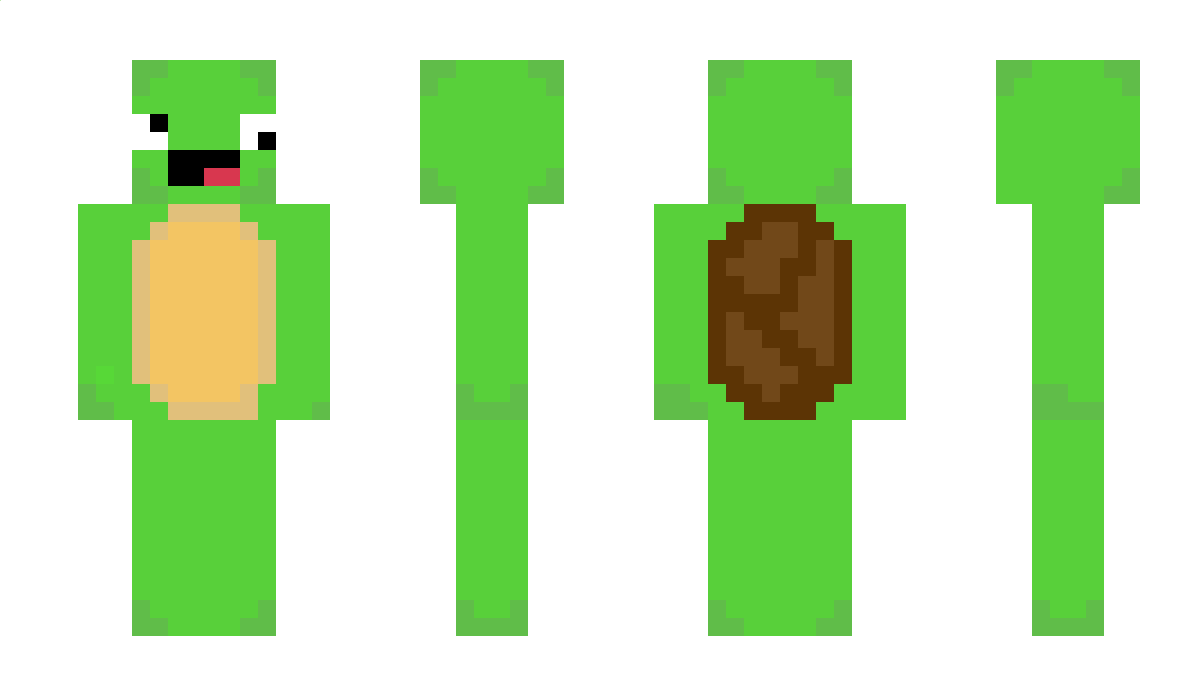 sussyturtle9 Minecraft Skin