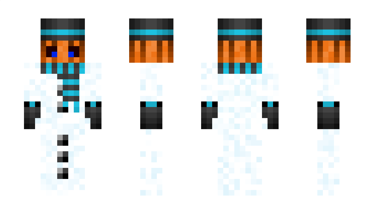 TheSnow_Golem Minecraft Skin